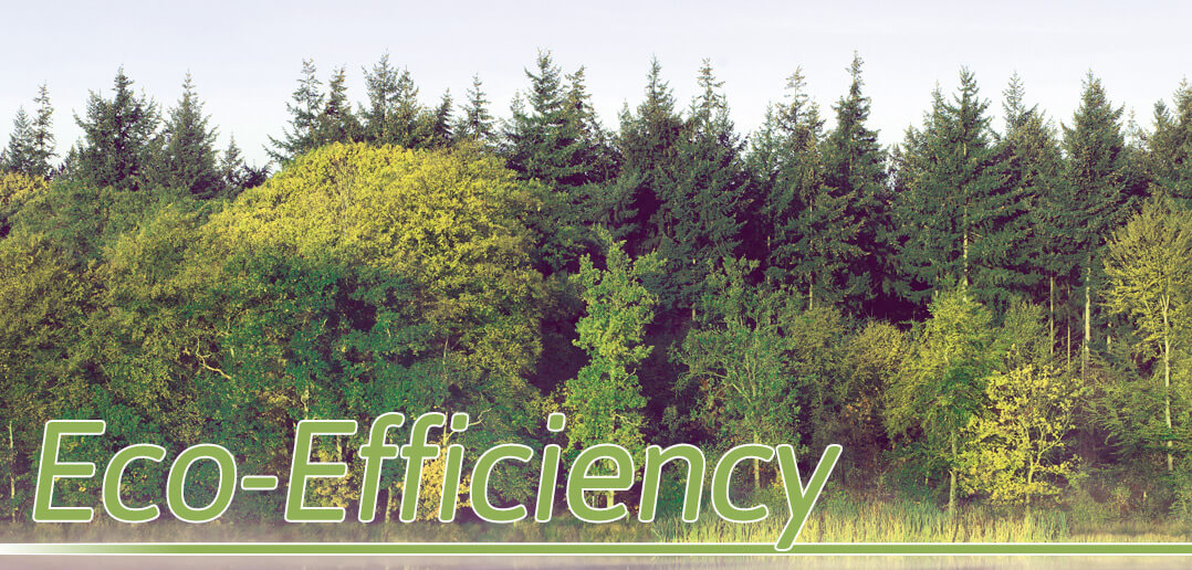 Eco-Efficiency - Header