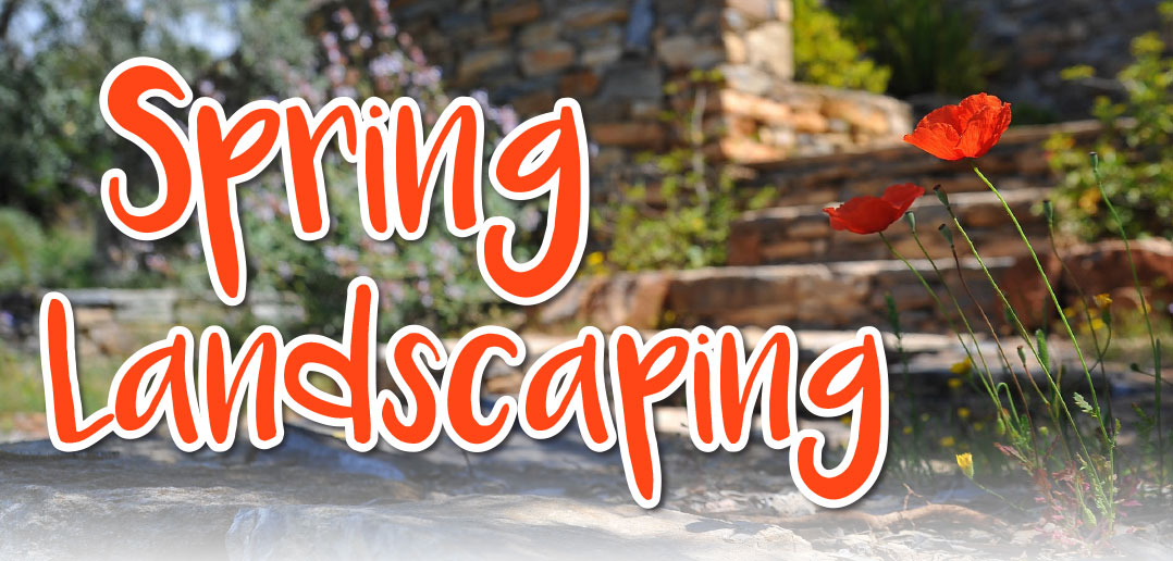 Spring Landscaping In Omaha Ne 2020 Strictly Business Omaha